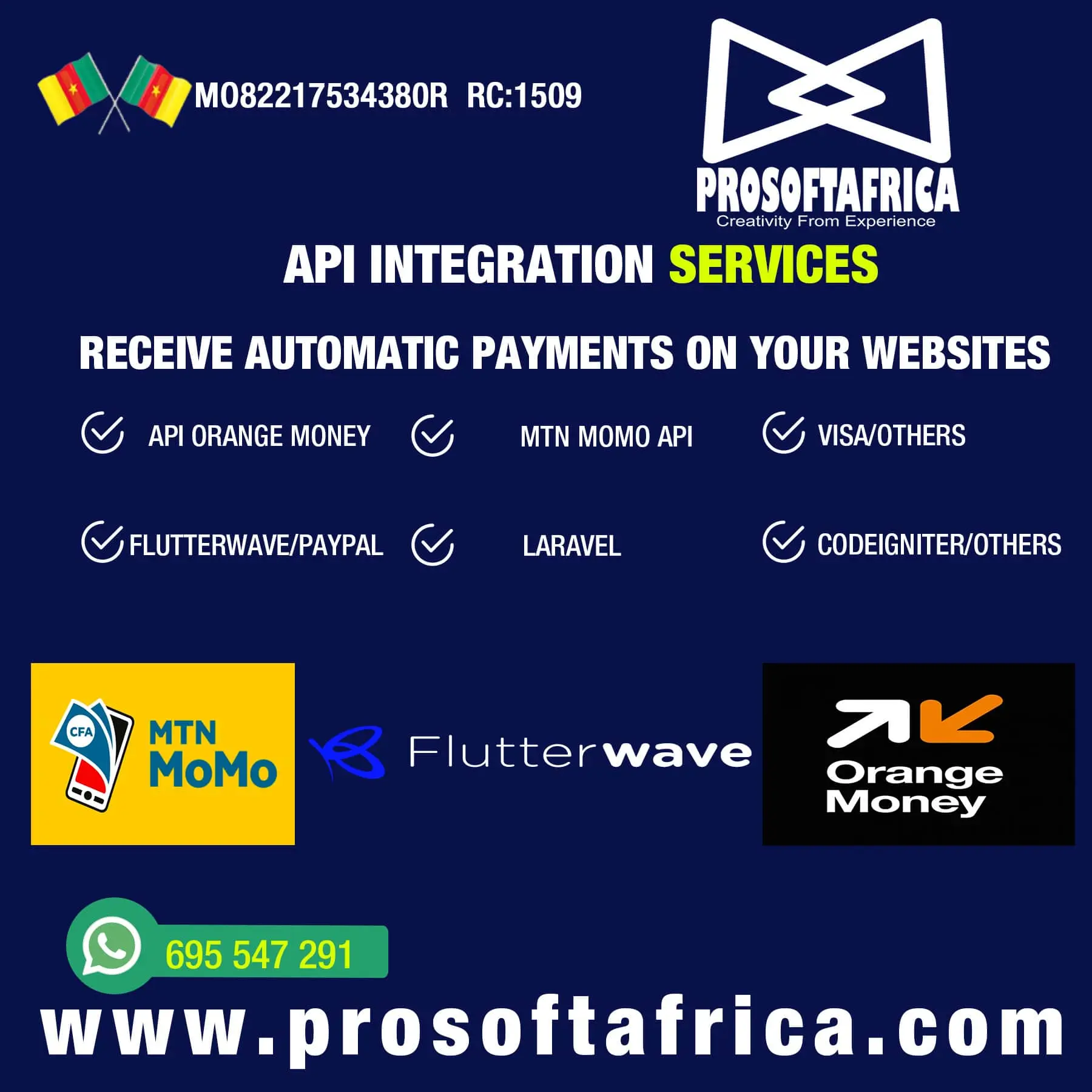 web development prosoftafrica